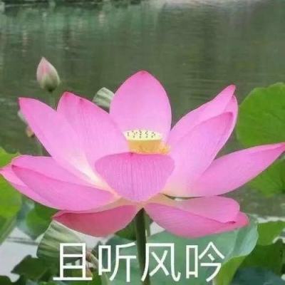 “广场舞神曲”燃爆北京物资学院毕业典礼